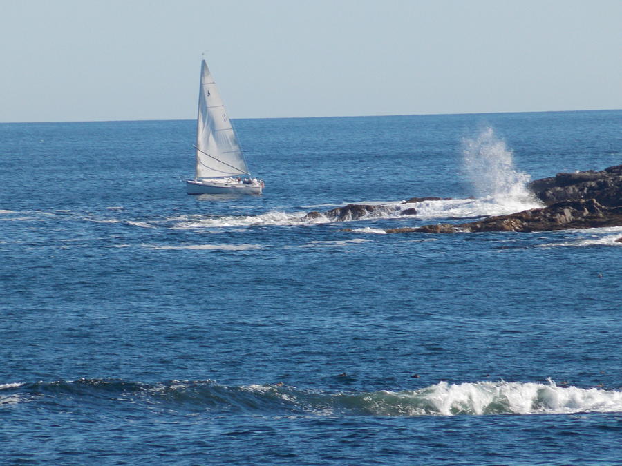 Sailing And Waves Photograph by Catherine Gagne