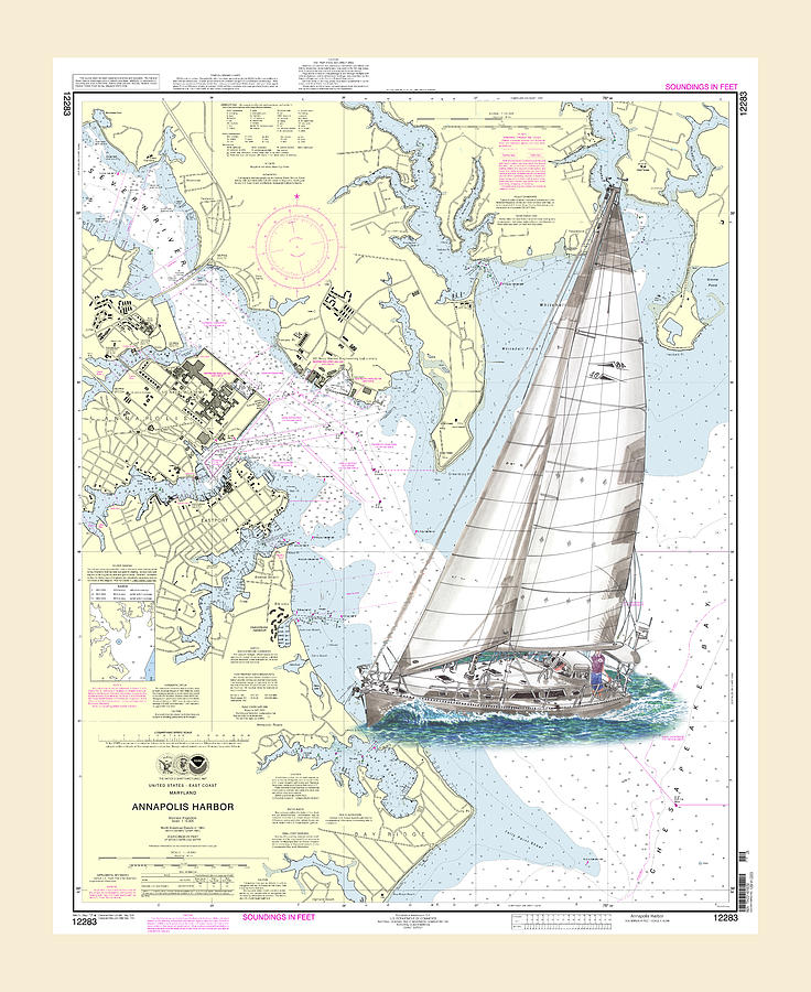  Annapolis Harbor Sailing Drawing by Jack Pumphrey