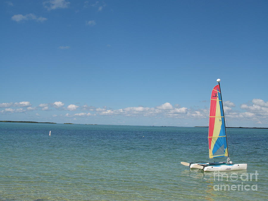 Sailing  At Key Largo Photograph by Christiane Schulze Art And Photography
