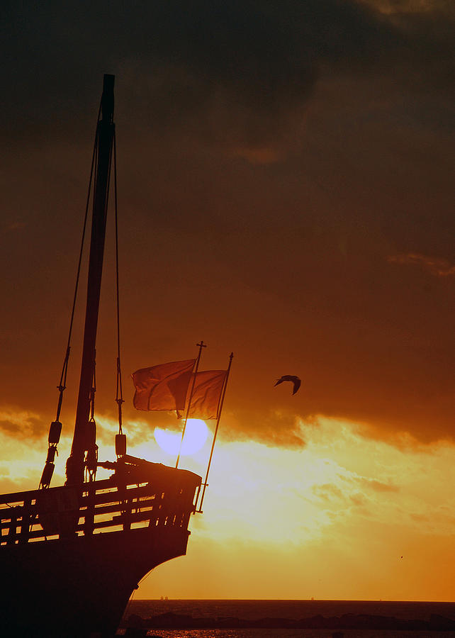 Sailing at Sunrise Photograph by Leticia Latocki