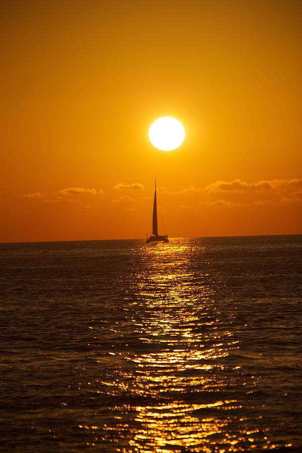 Sailing at Sunset Photograph by Allan Morrison