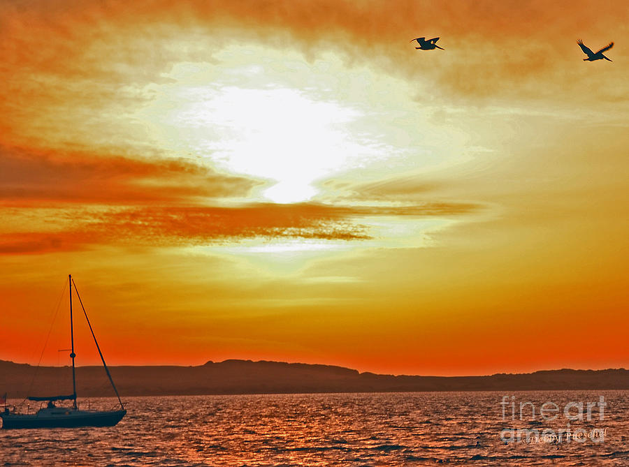Sailing at Sunset Photograph by Debby Pueschel
