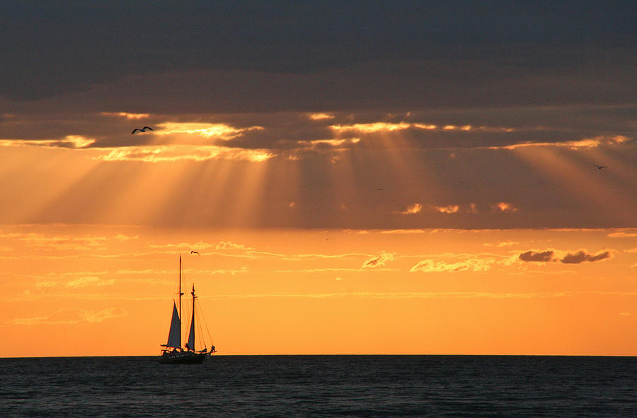 Sailing at Sunset Photograph by Heather Allen