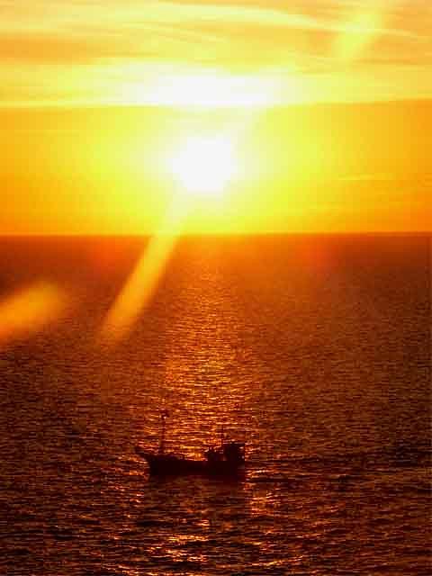 Sailing At Sunset Photograph by Kimo Fernandez