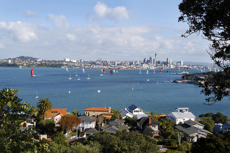 Boat Photograph - Sailing Auckland by Les Cunliffe