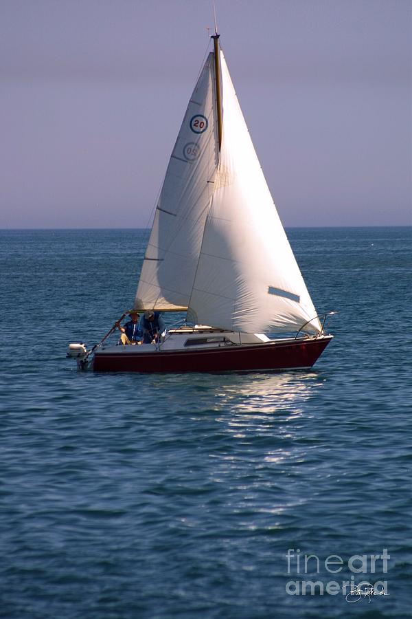 Sailing Photograph by Bill Richards