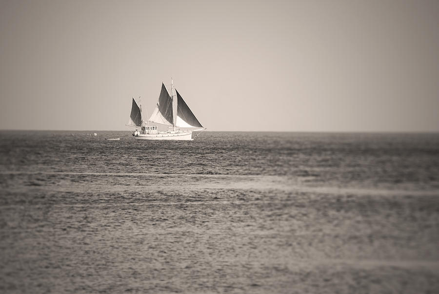 Sailing Boat Photograph by Chevy Fleet