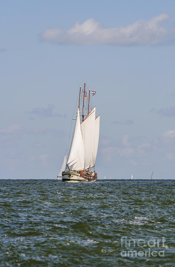Sailing boat Photograph by Patricia Hofmeester