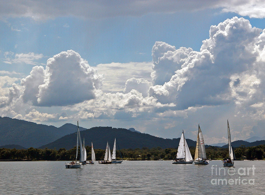 Sailing Boats Photograph by Tim Holt