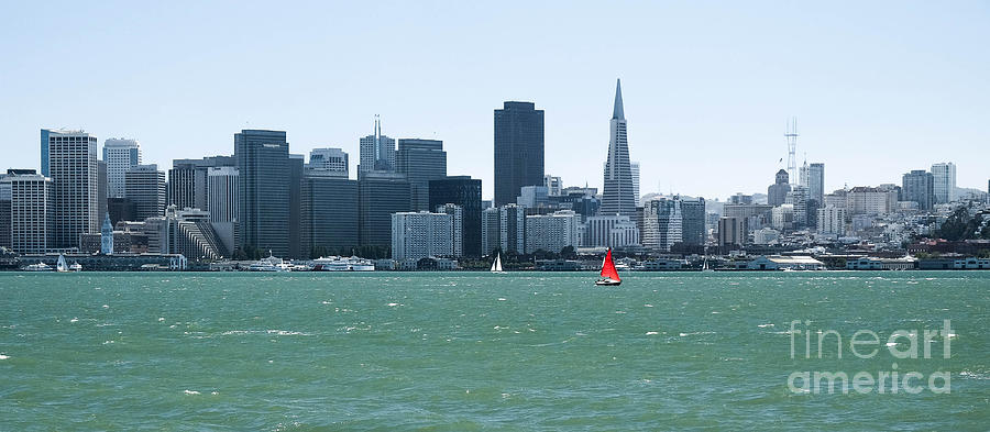 Sailing by San Francisco Photograph by Amy Fearn