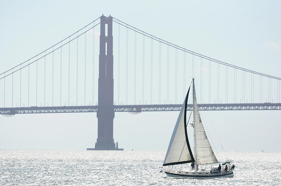 Sailing By San Francisco Bay Photograph by This Image Is Property Of Picardo