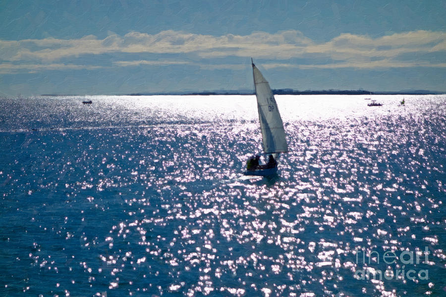 Sailing Photograph by Carole Lloyd