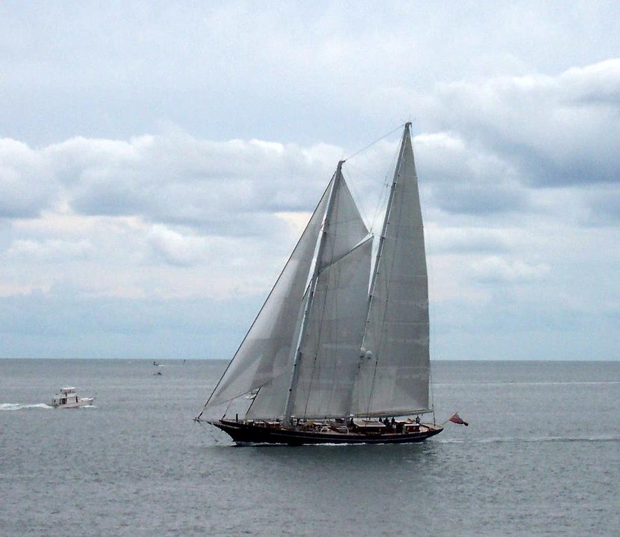 Sailing Day Photograph by Catherine Gagne