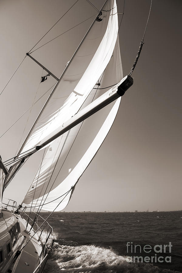 Sailing Fast Charleston South Carolina Photograph by Dustin K Ryan
