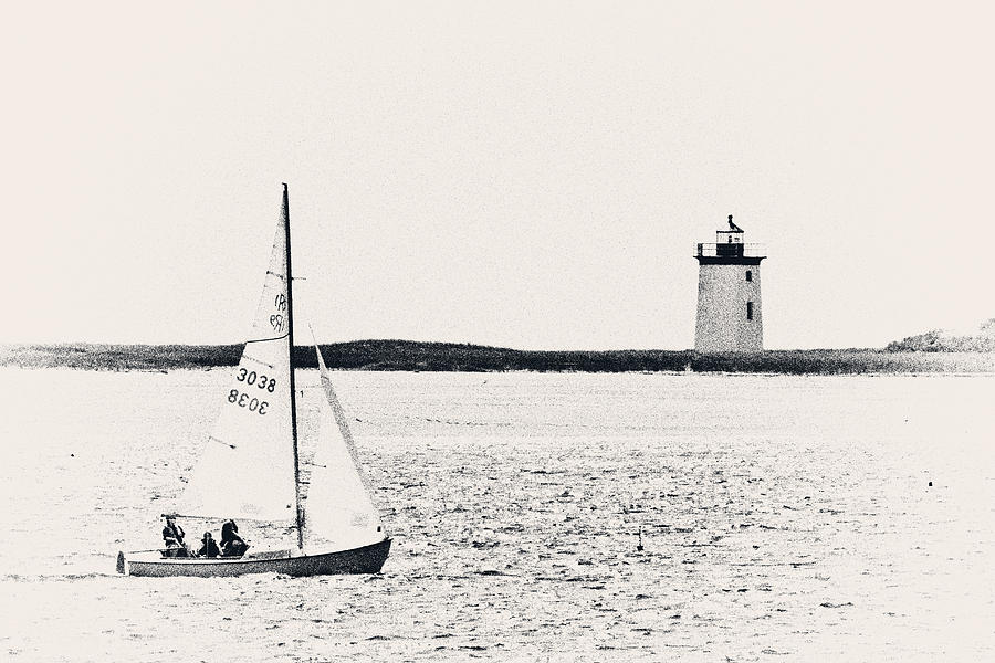 Black And White Photograph - Sailing In Cape Cod by Karol Livote