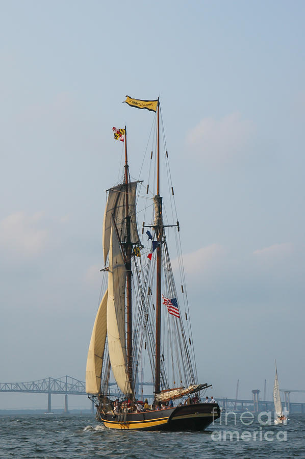 Sailing In Charleston Photograph
