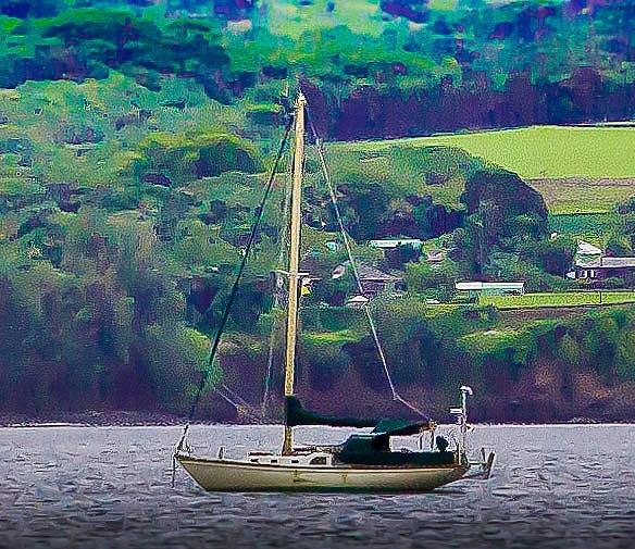 Sailing in Hilo Bay Photograph by Craig Watanabe