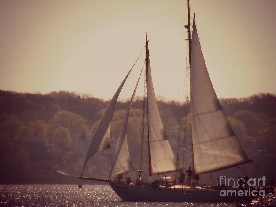 Sailing in Portlad Maine Photograph by Christy Beal Pixels