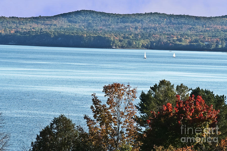 Sailing in the Fall Photograph by Elvis Vaughn