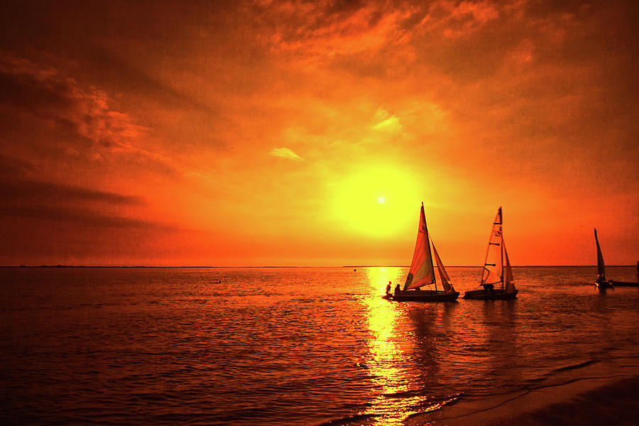 Sailing In The Sunset Photograph by By Kim Schandorff
