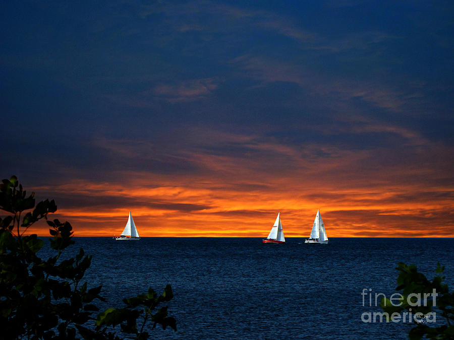 Sailing Into The Sunset Photograph by Ms Judi