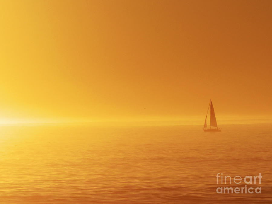 Sailing into the Sunset Photograph by Paul Topp