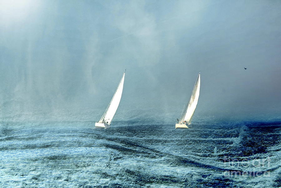 Sailing into the Unknown Photograph by Andrea Kollo