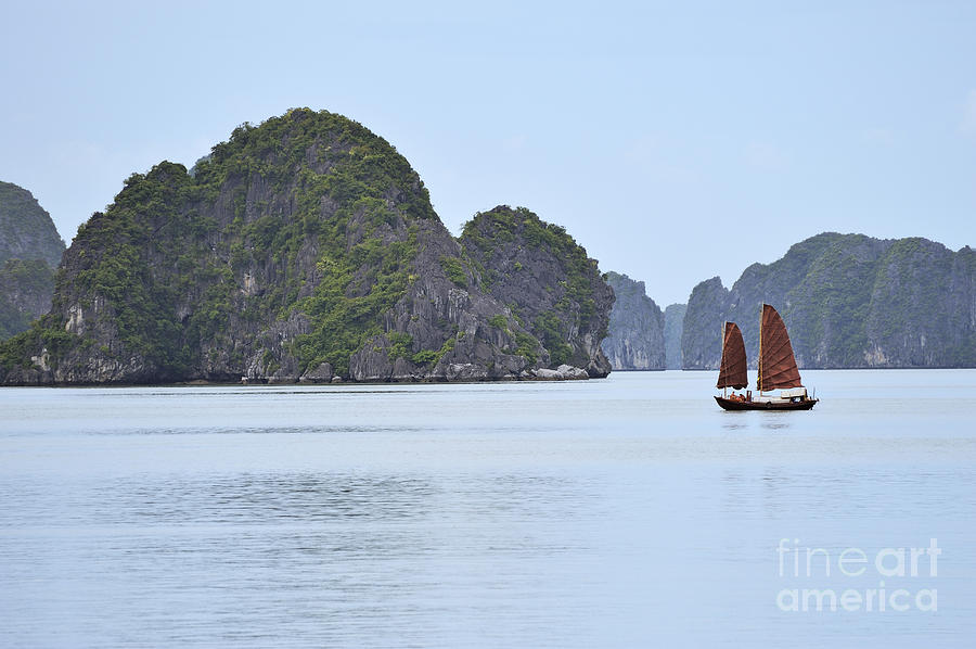 Sailing junk boats in Halong Bay Photograph by Sami Sarkis