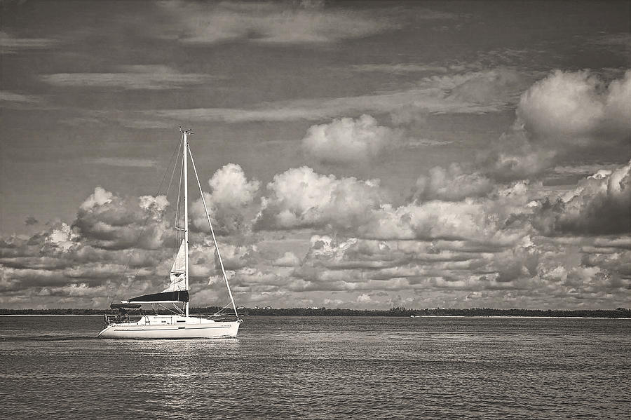 Sailing Photograph by Kelley Nelson
