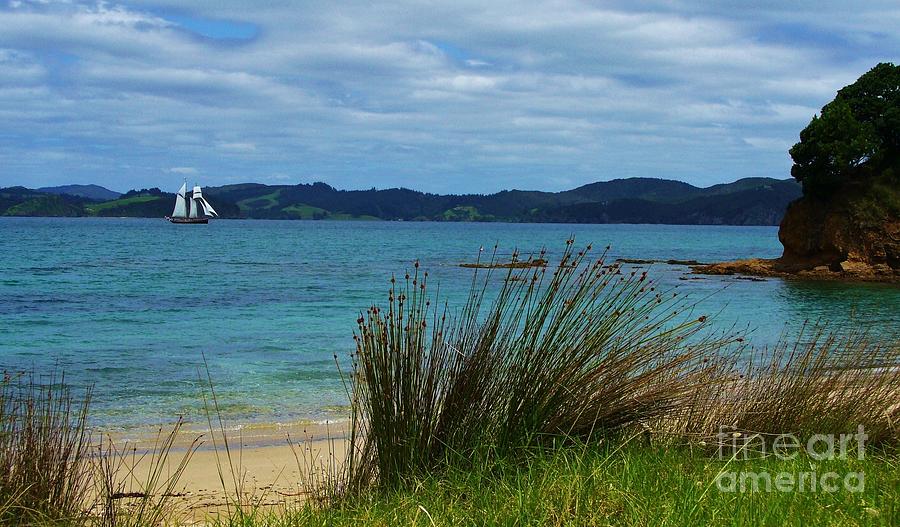 Bay of Islands #1 Photograph by Michele Penner