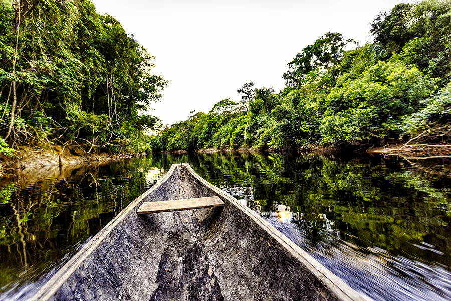 Sailing on Indigenous wooden canoe in the Amazon state Venezuela Photograph by Apomares