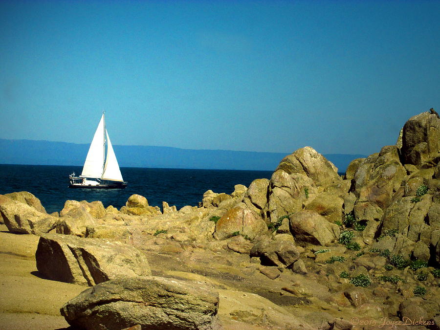 Sailing On Monterey Bay Ca Two Photograph by Joyce Dickens
