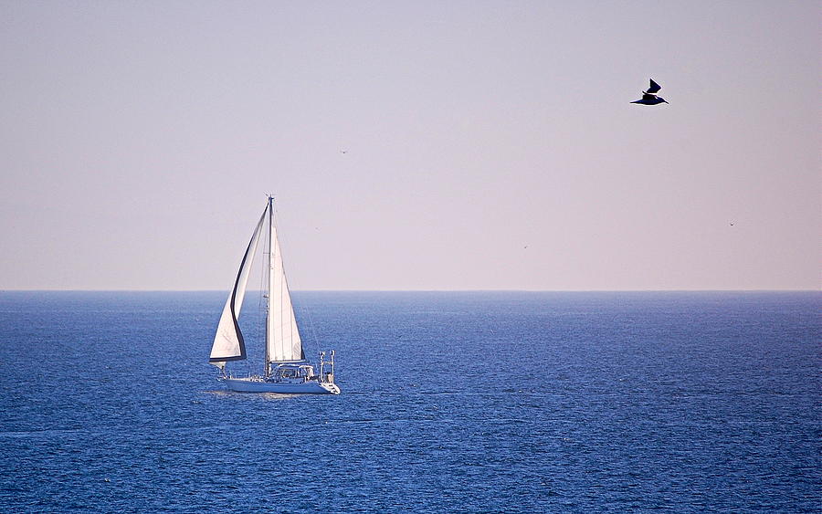Sailing on the Bay Photograph by AJ  Schibig