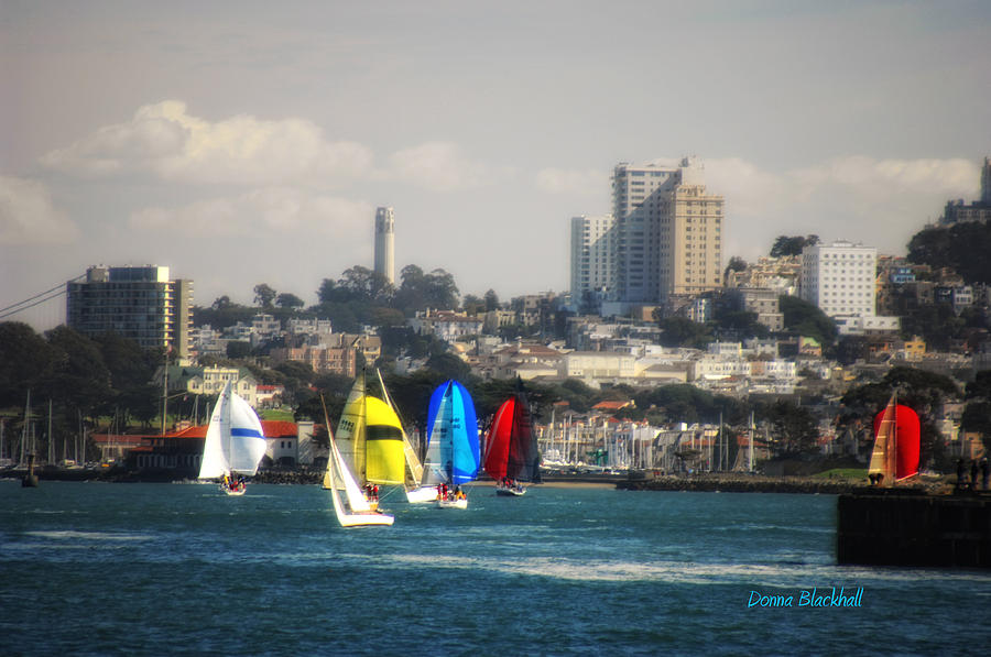Sailing On The Bay Photograph by Donna Blackhall