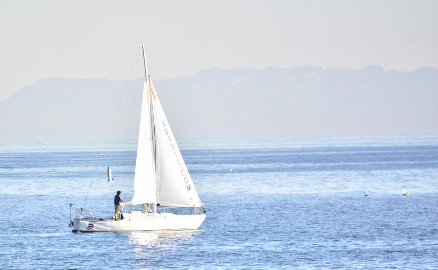 Sailing Peace Photograph by Jody Lane