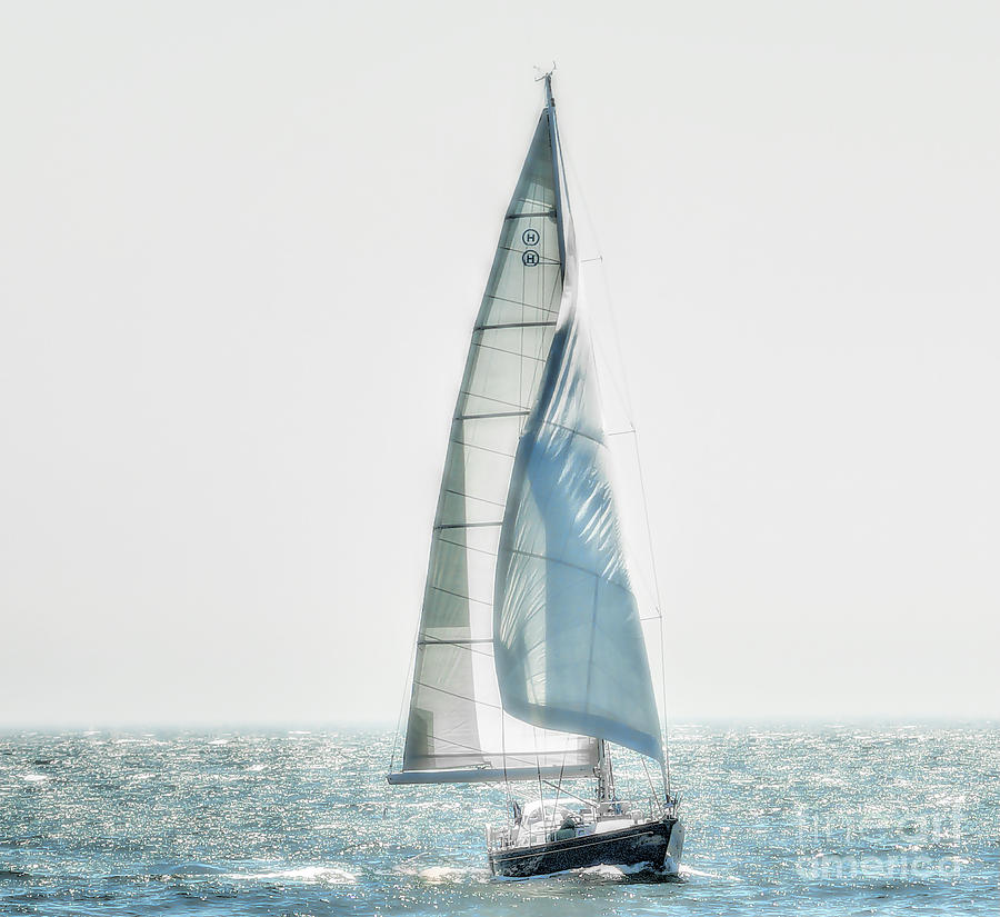 Sailing Photograph by Raymond Earley