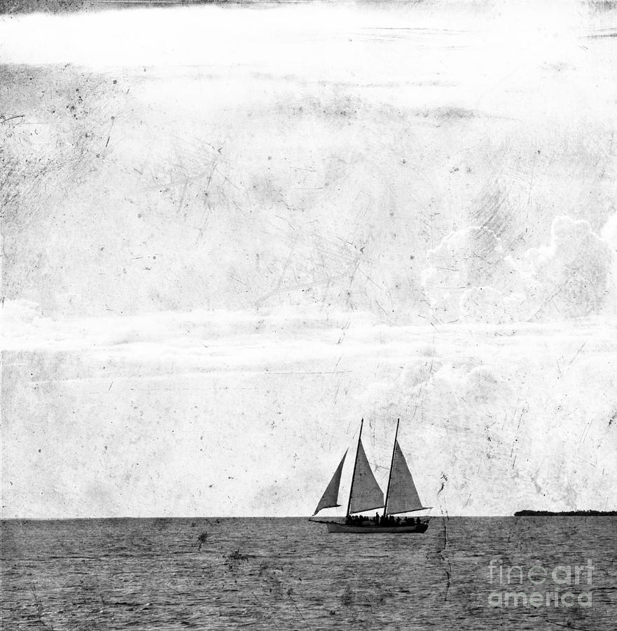Sailing Photograph by Rebecca Cozart