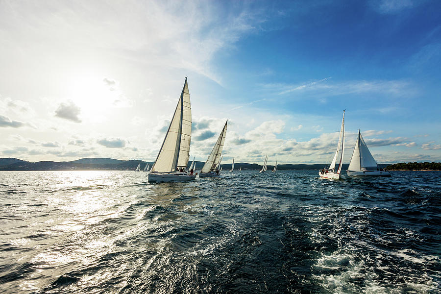 Sailing Regatta Photograph by Mbbirdy