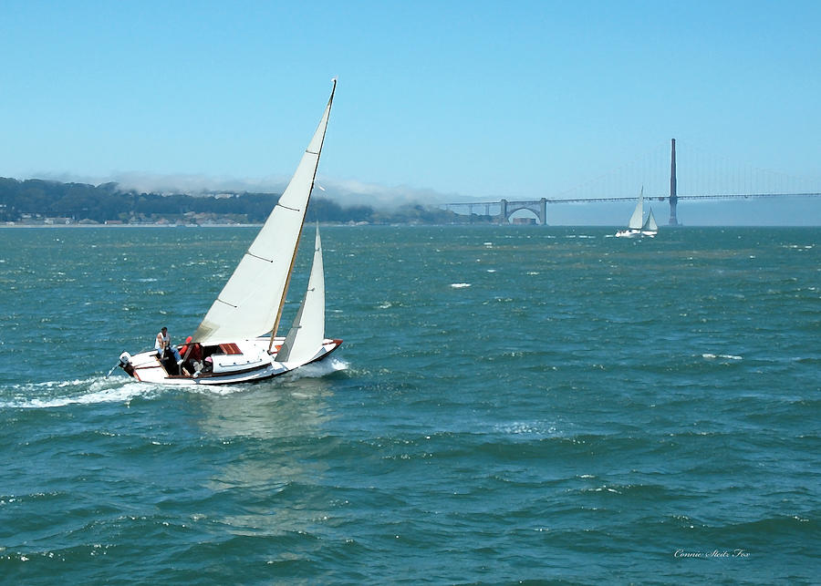 Sailing San Francisco Bay Photograph by Connie Fox