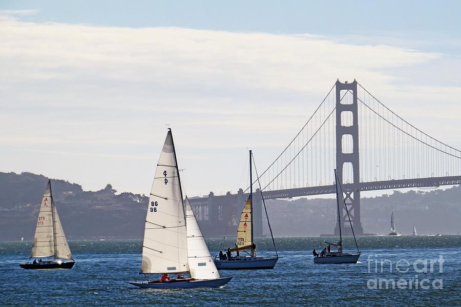 Sailing San Francisco Bay Photograph by Scott Cameron