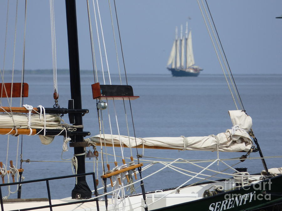 Sailing Schooners Photograph by Jean Wright