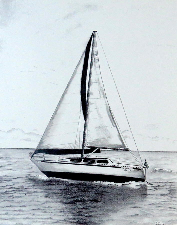 Sailing Drawing by Sharon Schultz