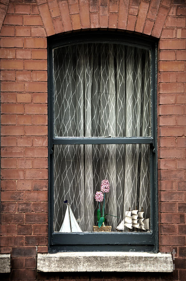 Sailing ships and plant on the window with net courtain Photograph by RicardMN Photography