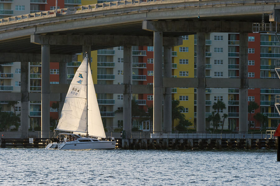Sailing the Intracoastal Photograph by Ed Gleichman