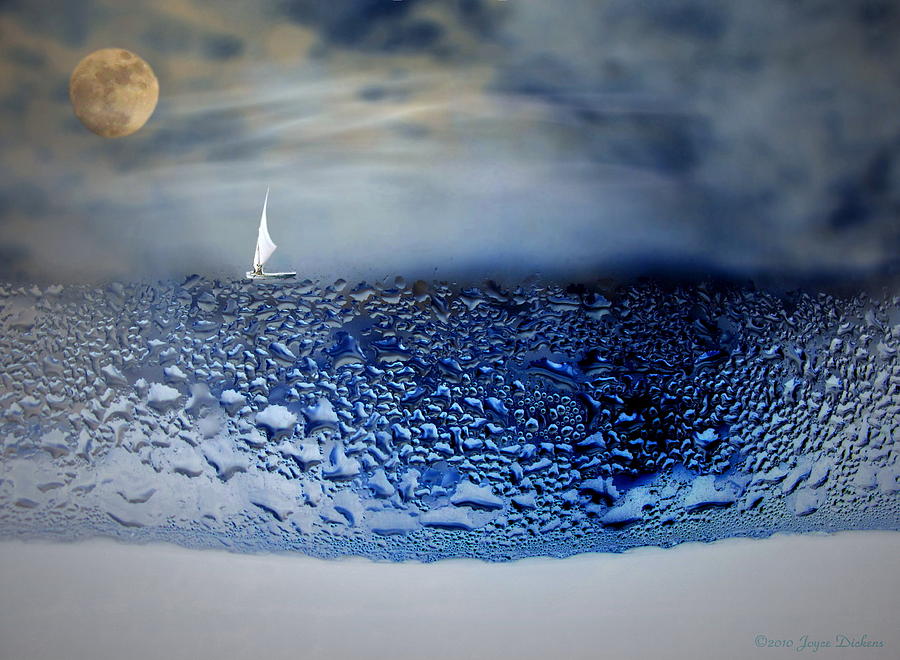 Sailing The Liquid Blue Photograph by Joyce Dickens
