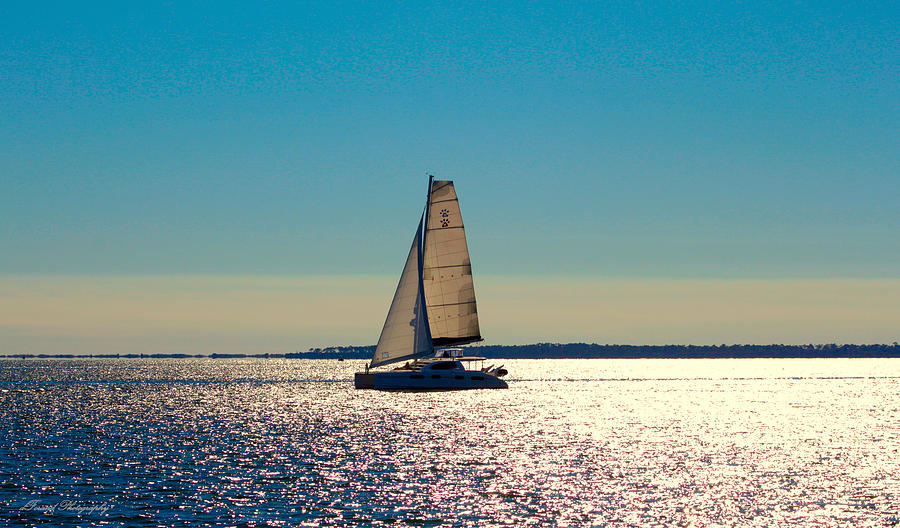 Sailing the Ocean Blue Photograph by Debra Forand