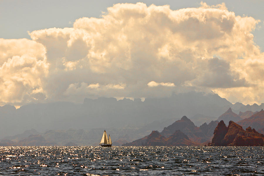 Sailing the Sea of Cortez Photograph by Kandy Hurley