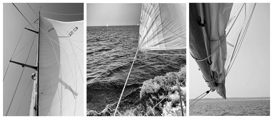 Sailing Three Panel Photograph by Tony Grider