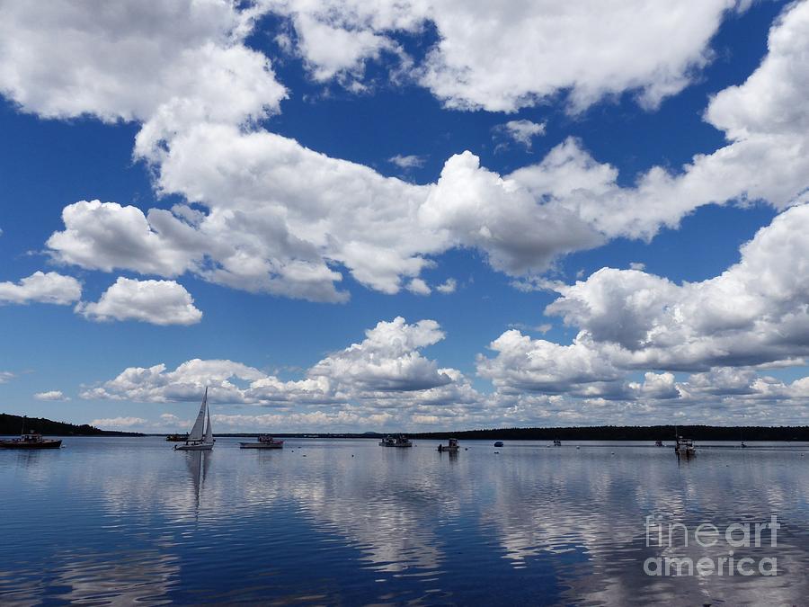 Sailing Through The Harbor by Christine Stack Sailing Through The Harbor by Christine Stack