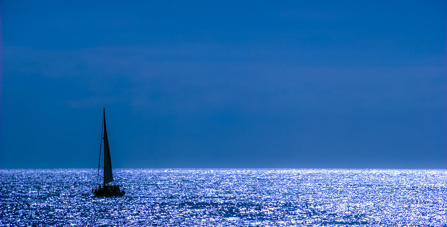 Sailing Photograph by Tommy Farnsworth